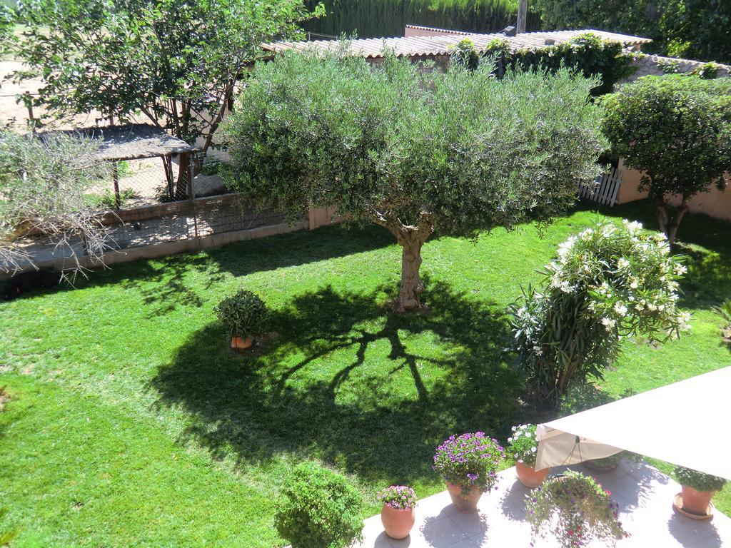 Casa Rural Hipica Mas Paguina L'Estartit Exterior photo
